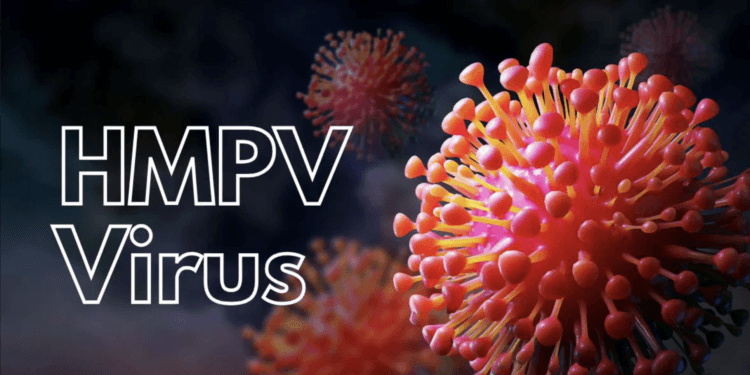 राज्यात HMPV व्हायरसचा प्रवेश? नागपुरात दोन मुलं संक्रमित; दोन्ही रुग्ण बरे